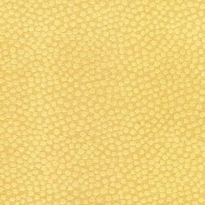 Ashby Sun Regal Fabric