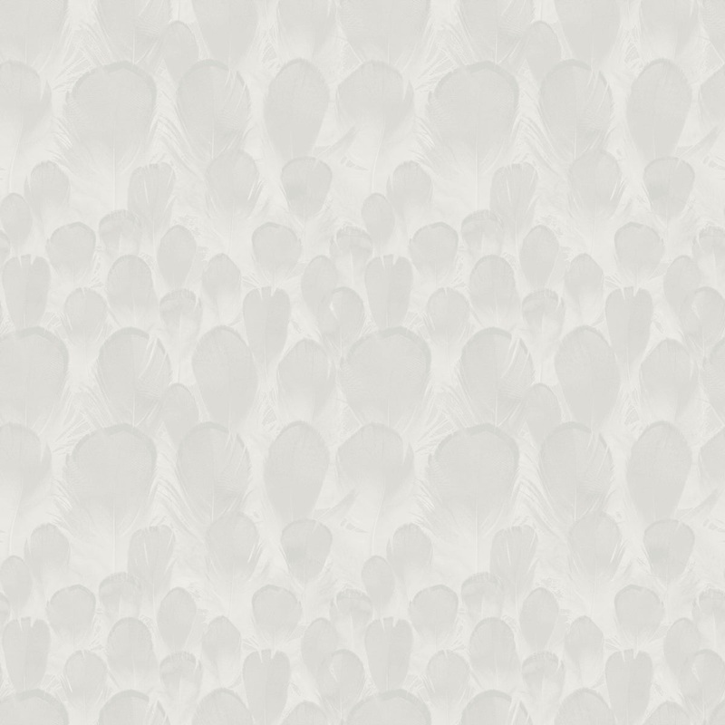 Y6230101 Feathers Wallpaper