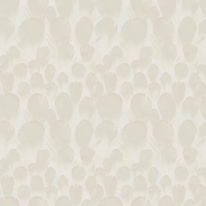 Y6230102 Feathers Wallpaper