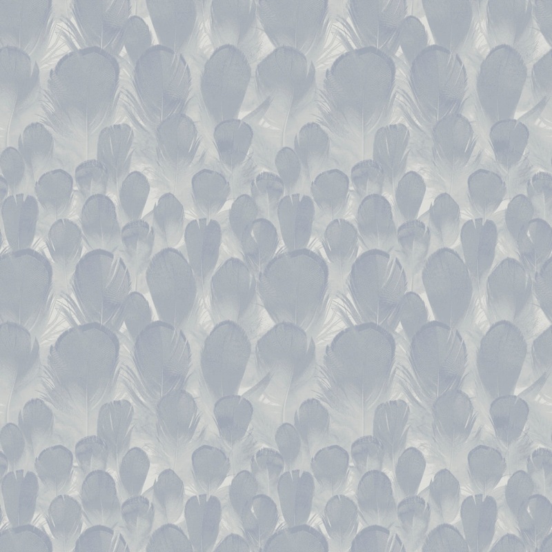 Y6230103 Feathers Wallpaper
