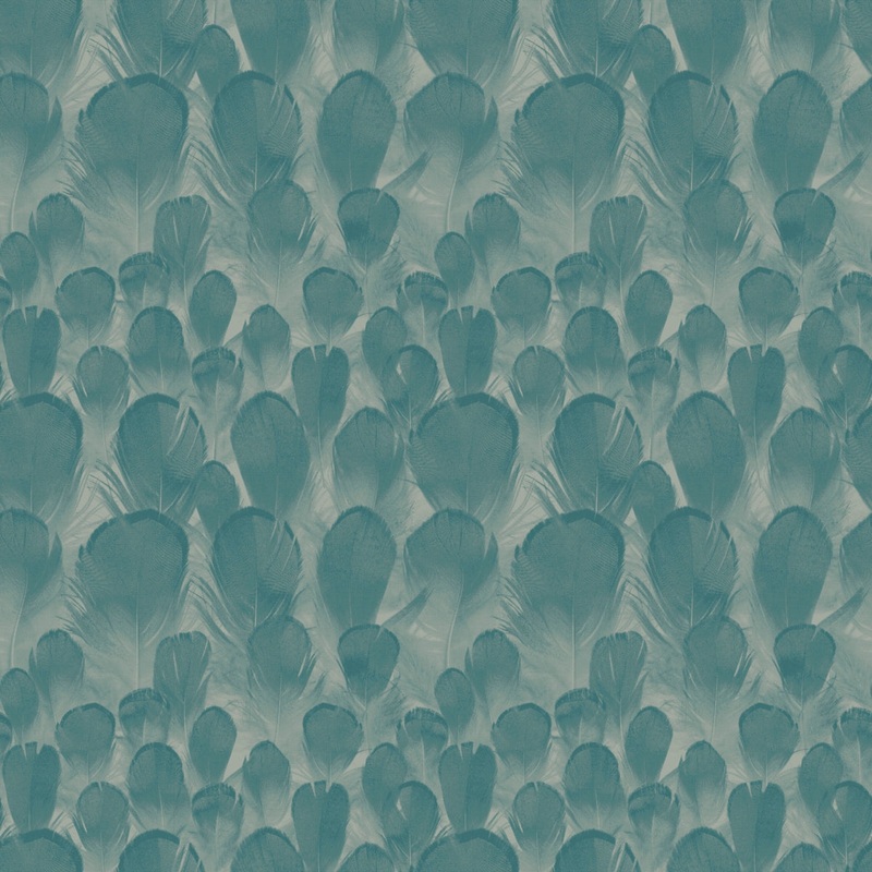 Y6230105 Feathers Wallpaper