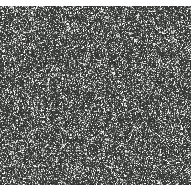 RI5111 White/Black Champagne Dots Wallpaper