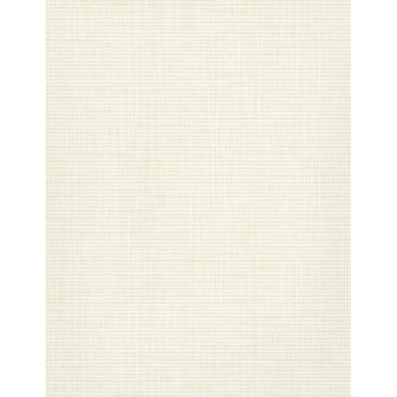 TD1050N White/Off Whites Hessian Weave Wallpaper