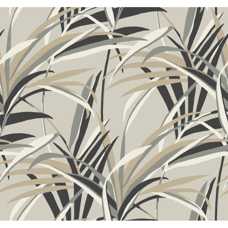 TC2604 Taupe Tropical Paradise Wallpaper