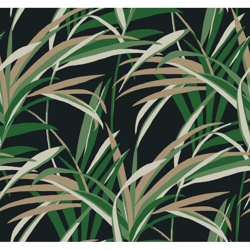 TC2606 Green Black Tropical Paradise Wallpaper