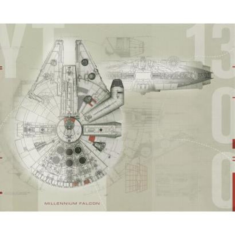 Murals Star Wars Millennium Falcon Pre-Pasted Mural