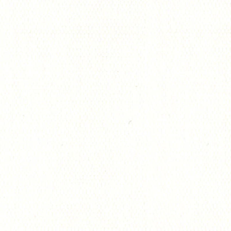 WeatherMax 80 29371 White Fabric