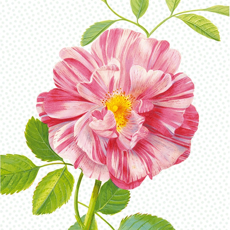 Peony Wall Mural
