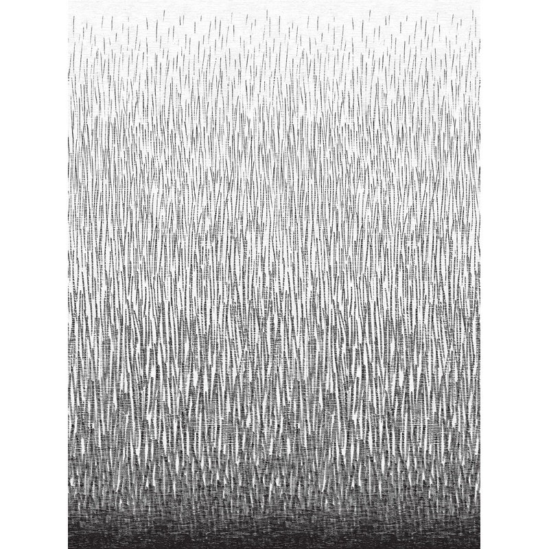 2764-24363 Amaya Black Wall Mural