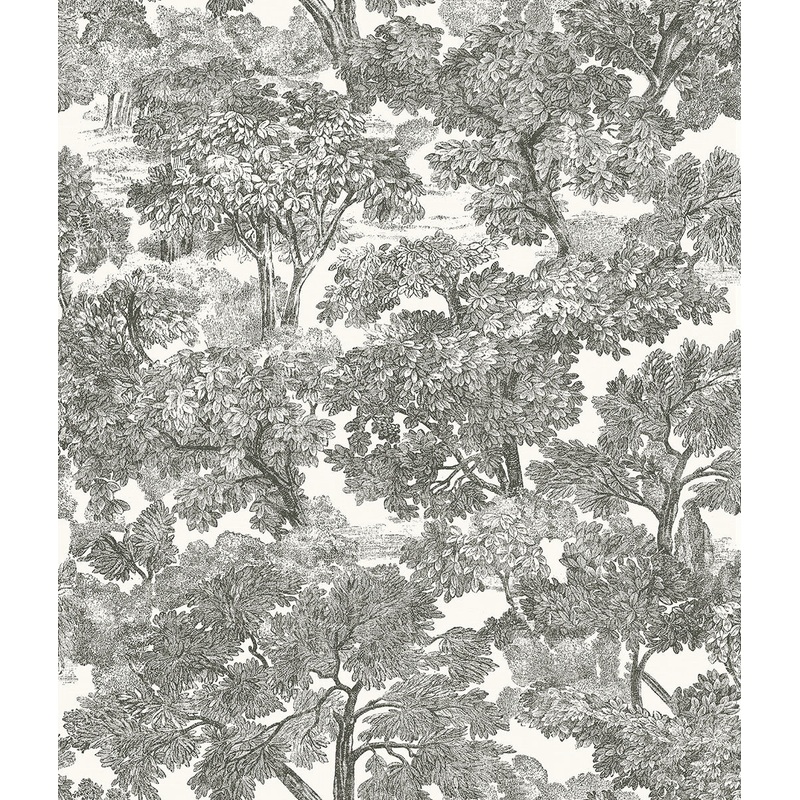 Spinney Black Toile Wallpaper