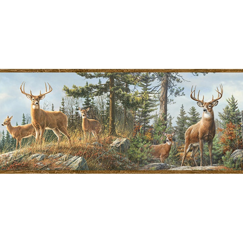 3118-48463B Whitetail Crest Multicolor Forest Border