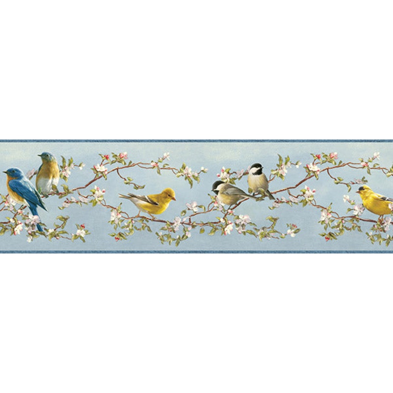 3118-48511B Songbird Multicolor Floral Trail Border