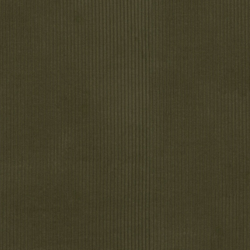 Wales Moss P/K Lifestyles Fabric
