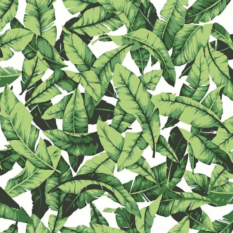 RMK11045WP Tropical Palm Leaf Peel and Stick Wallpaper